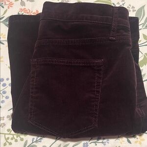 LOFT Women's Corduroy Pants in Dark Purple